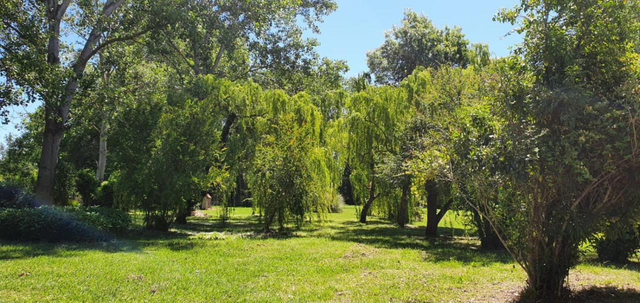 Praticcioni Villa Linguizzetta Dış mekan fotoğraf